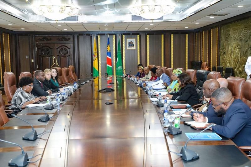 GWP delegation meets with H.E. President Netumbo Nandi-Ndaitwah at the State House of the Republic of Namibia.