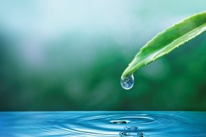The past decade has shown that the relationship between water and public health is broader and more complex than we once assumed.