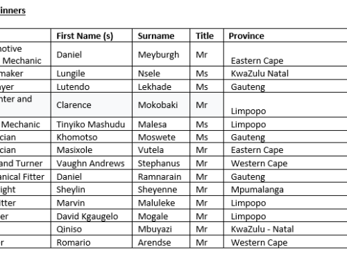 Limpopo plumber wins award at the South African National Artisans Awards